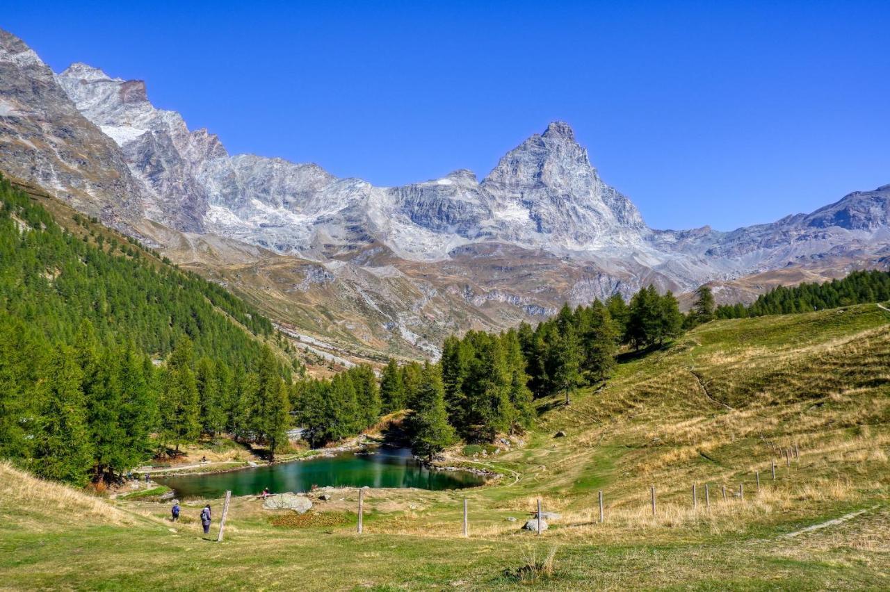 La Lupa Apartment - In The Heart Of Aosta With Car Box מראה חיצוני תמונה